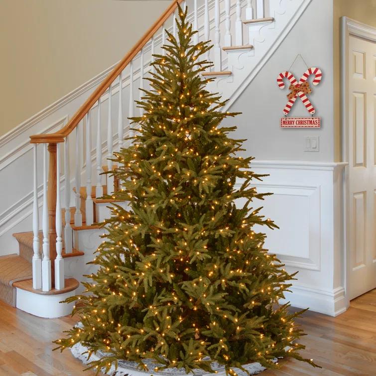 6.5' Prelit LED Medium Jersey Fraser Fir Artificial Christmas Tree Dual Color Lights - National Tree Company