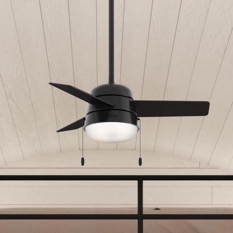 Aker 36" 3 - Blade Standard Ceiling Fan with Lights and Pull Chains