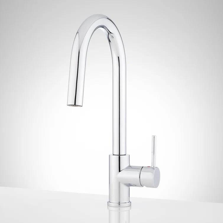 Ravenel Pull Down Single Handle Kitchen Faucet