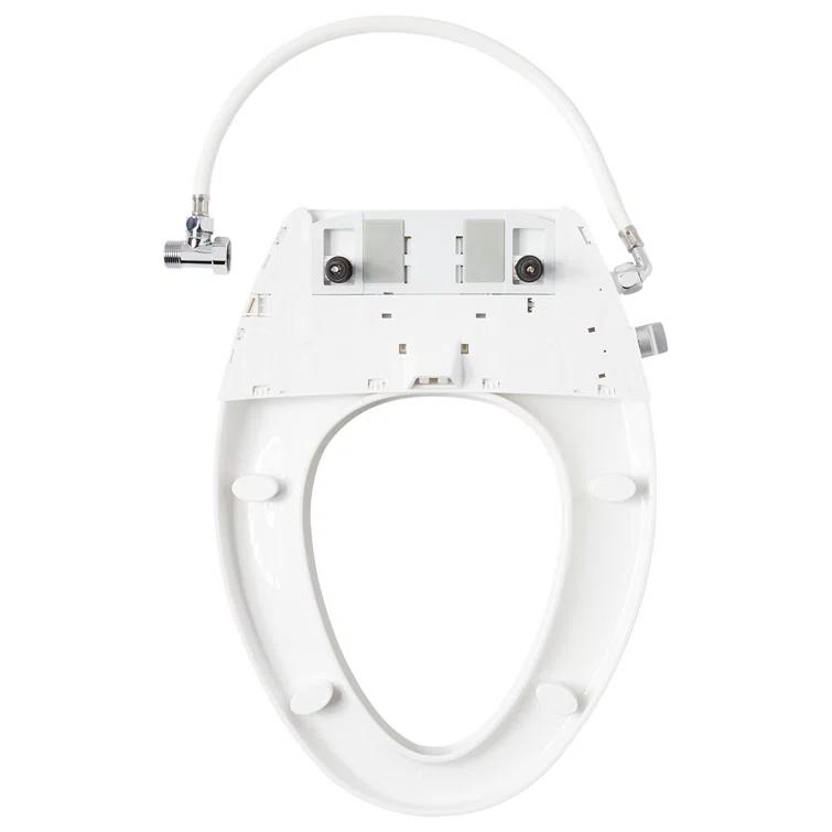 Carraway Two-Piece Skirted Elongated Toilet
