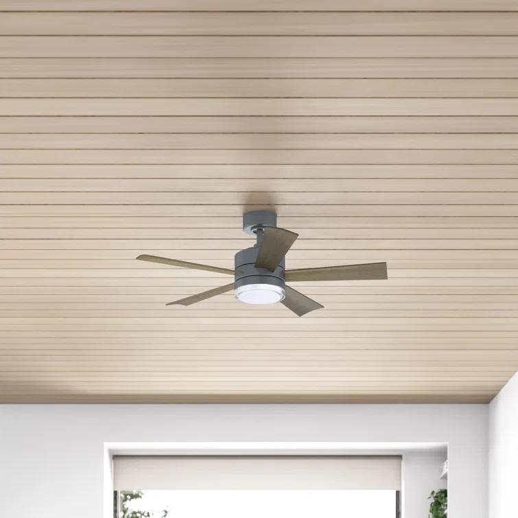 Wynd 5 - Blade Outdoor /Indoor Smart Ceiling Fan with Remote Control and LED Light Kit Included