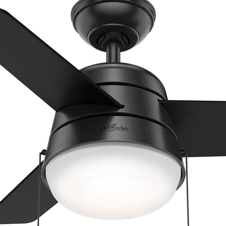 Aker 36" 3 - Blade Standard Ceiling Fan with Lights and Pull Chains
