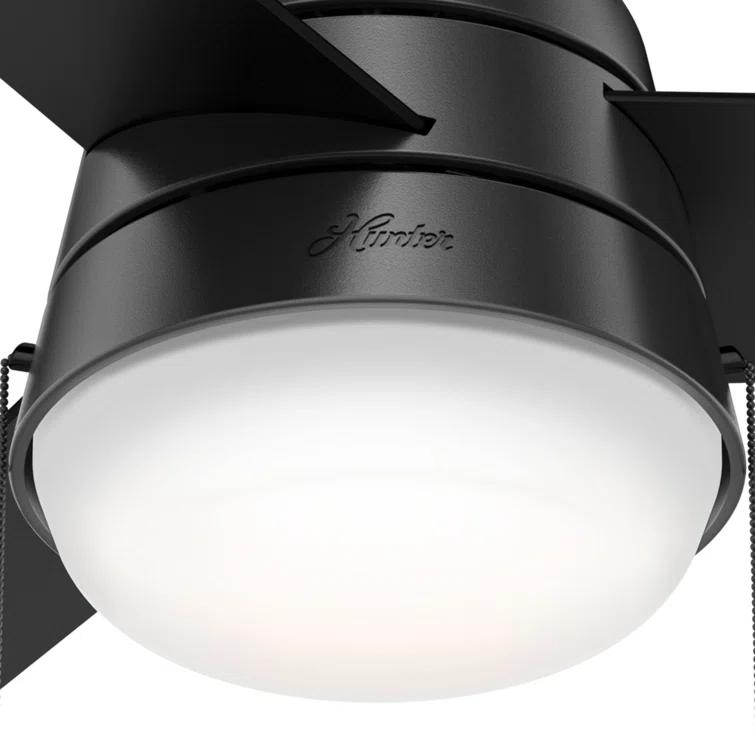 Aker 36" 3 - Blade Standard Ceiling Fan with Lights and Pull Chains