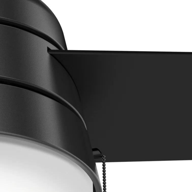 Aker 36" 3 - Blade Standard Ceiling Fan with Lights and Pull Chains