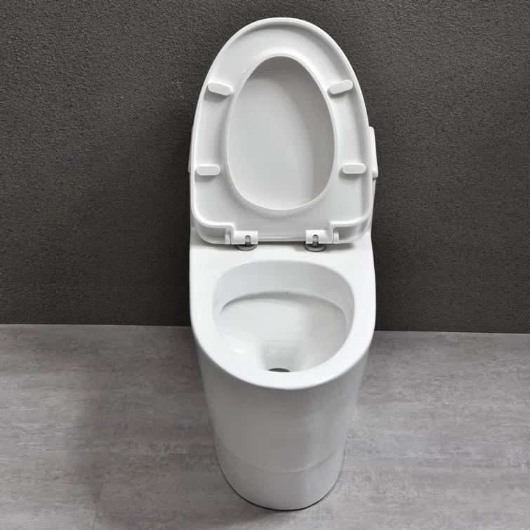 1.28 GPF Elongated Comfort ADA Height One Piece Dual-Flush Toilet with Soft-Closing Seat,MAP Flushing 1000G