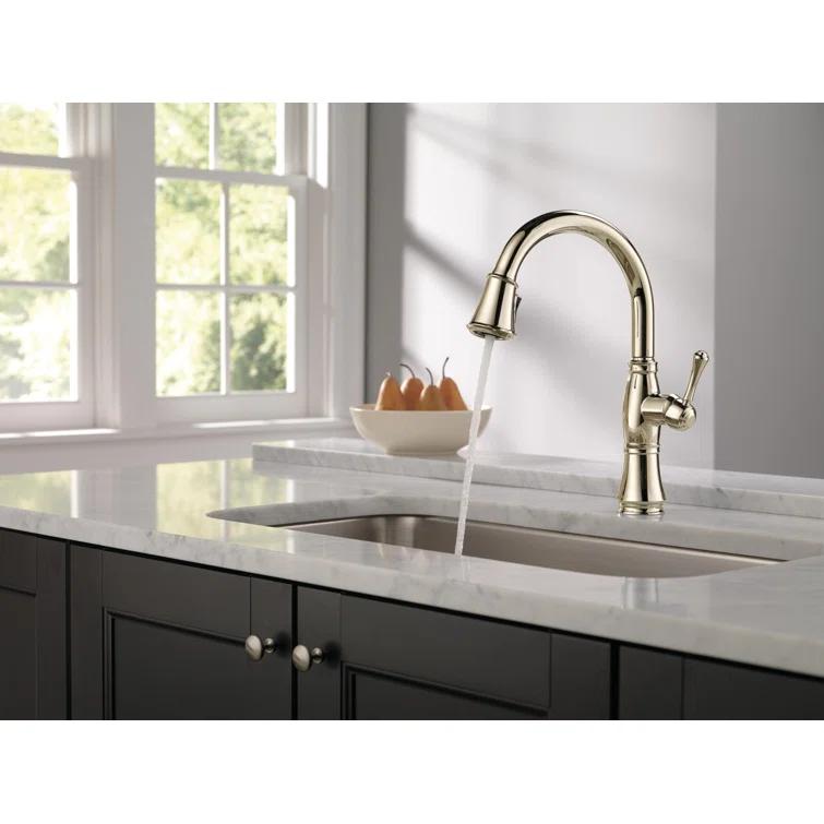 Cassidy Pull Down Sprayer Kitchen Sink Faucet, Single Handle Kitchen Faucet
