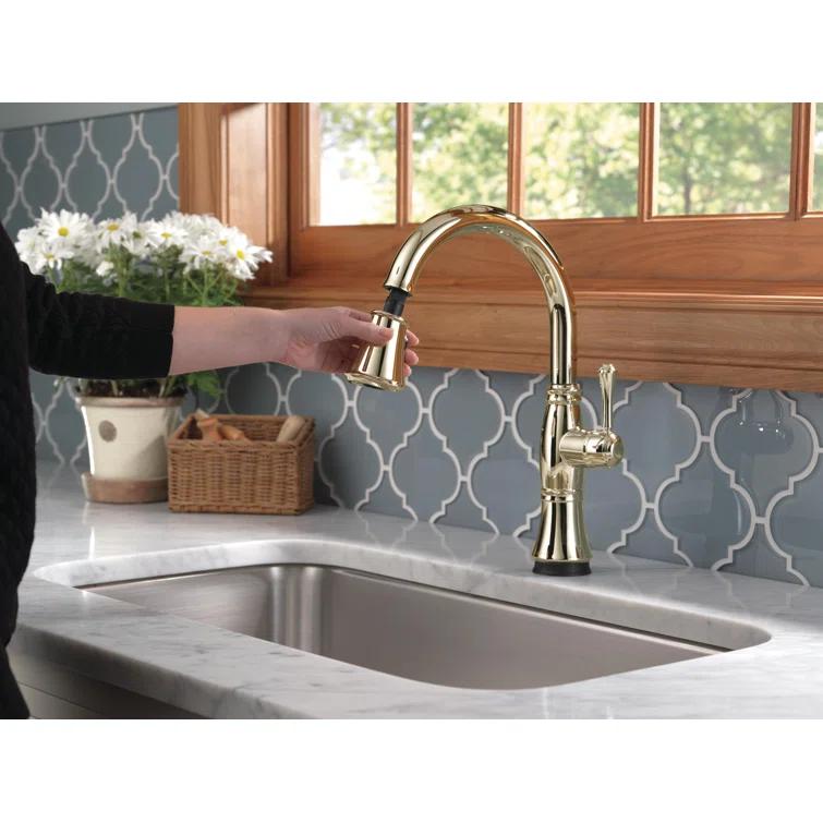 Cassidy Pull Down Touch Single Handle Kitchen Faucet with Side Spray