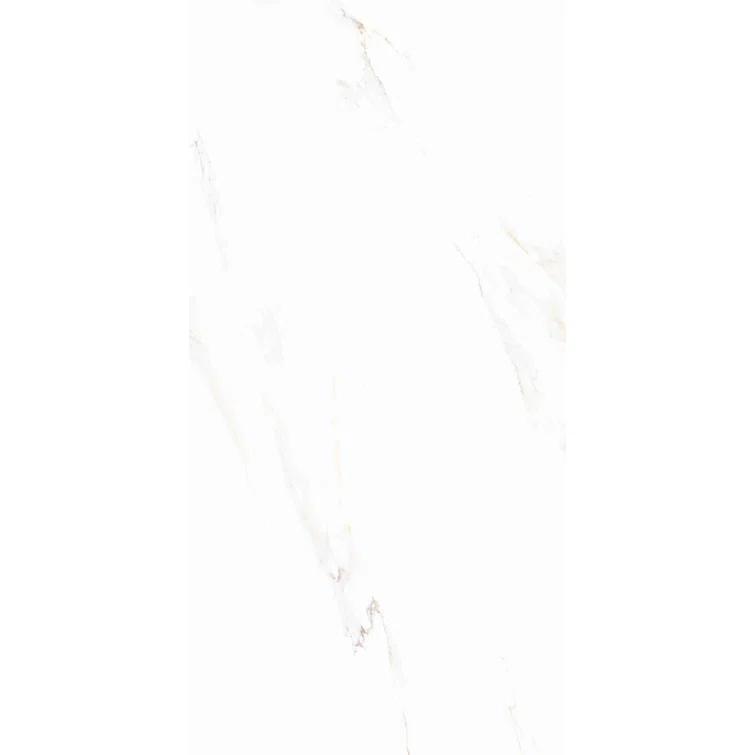 The Tile Life Huntington 24" x 48" Porcelain Marble Look Wall & Floor Tile