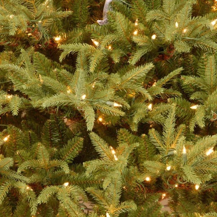 6.5' Prelit LED Medium Jersey Fraser Fir Artificial Christmas Tree Dual Color Lights - National Tree Company