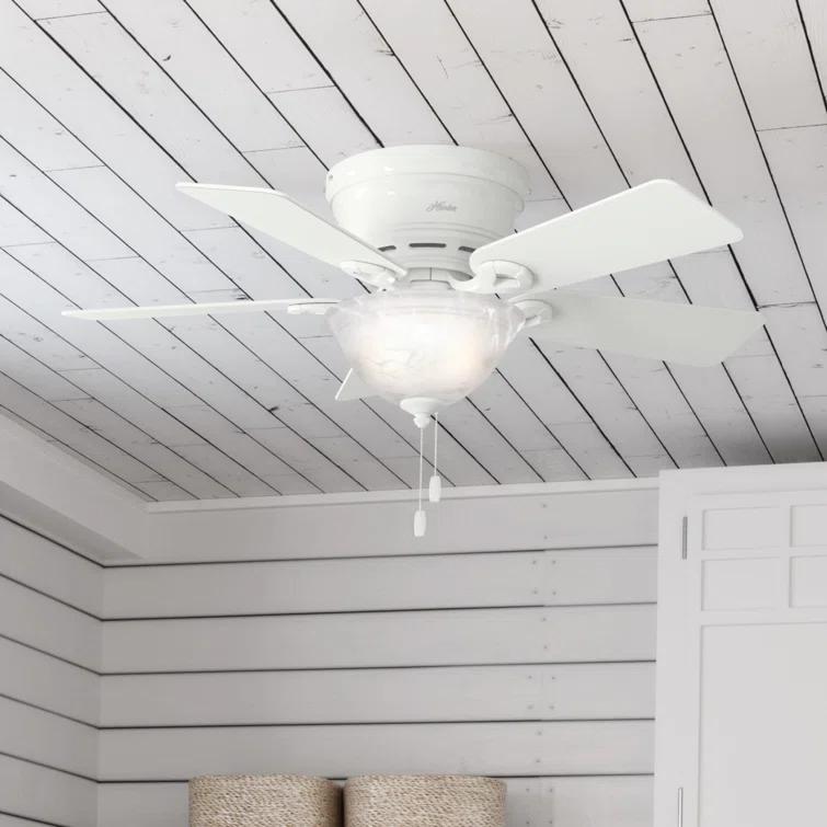 42'' Conroy 5 - Blade Flush Mount Ceiling Fan with Pull Chain and Light Kit Included
