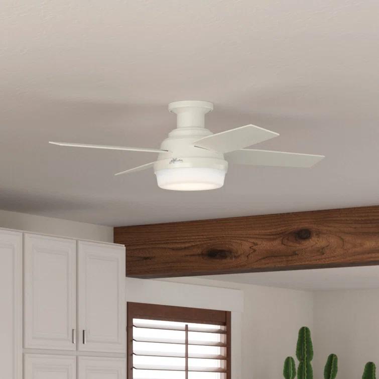 Dempsey Low Profile 44" 4 - Blade Indoor Flush Mount Small Room Ceiling Fan with Lights and Remote