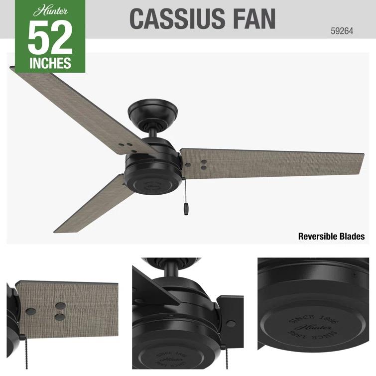 52" Cassius 3 - Blade Outdoor Standard Ceiling Fan with Pull Chain
