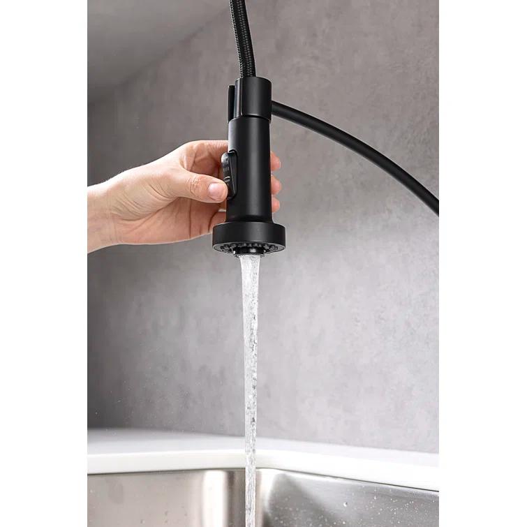 Karran Scottsdale Single-Handle Pull-Down Sprayer Kitchen Faucet