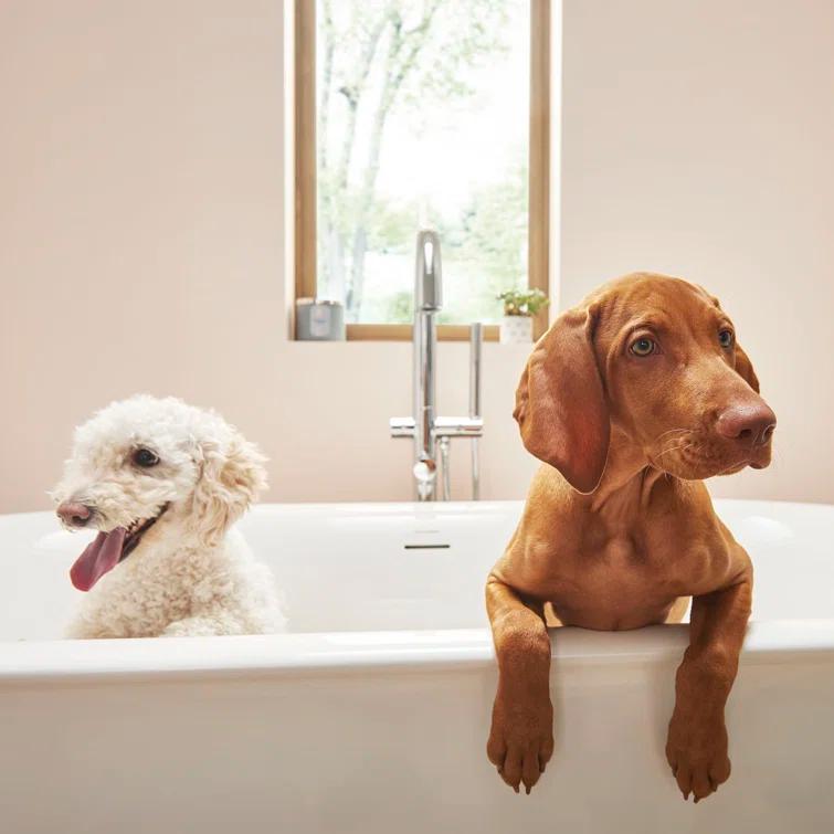 1 Handle Floor Tub Filler with Diverter