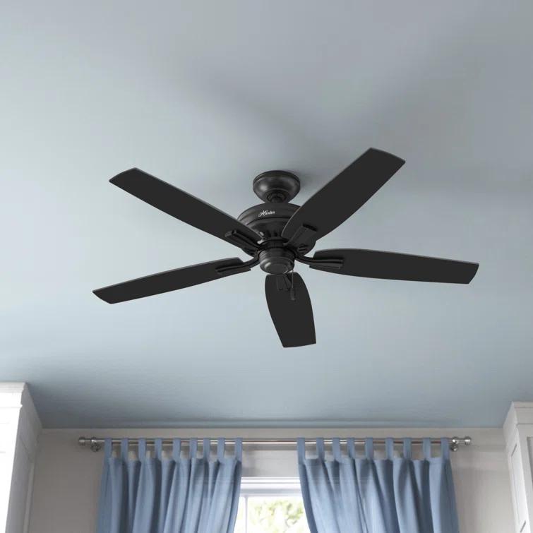 52" Newsome 5 - Blade Outdoor Standard Ceiling Fan with Pull Chain