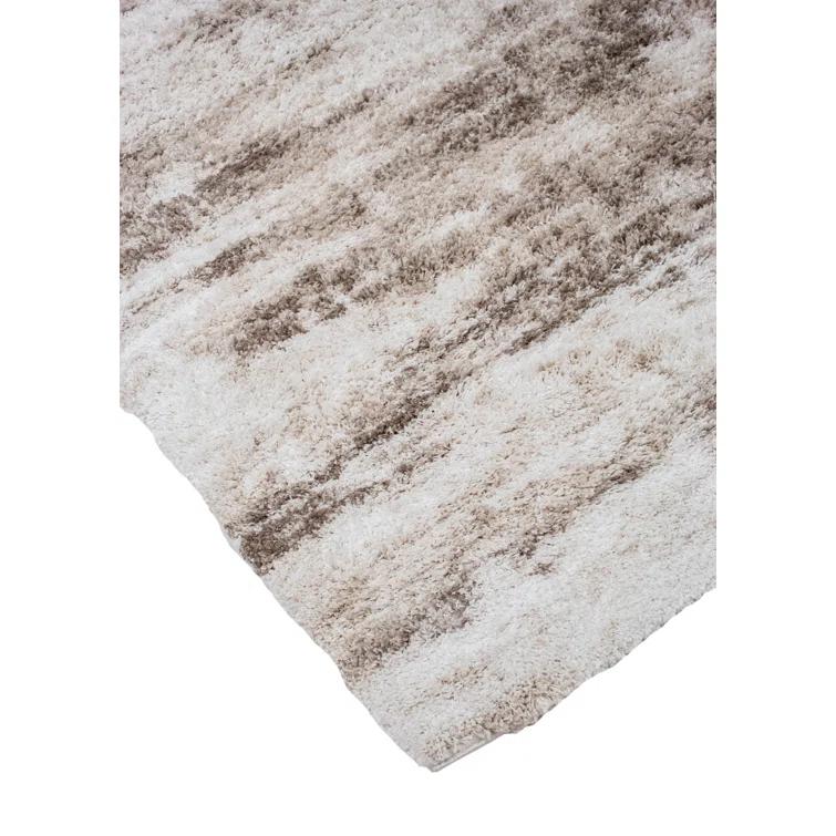 Alban Indoor Shag Beige Area Rug