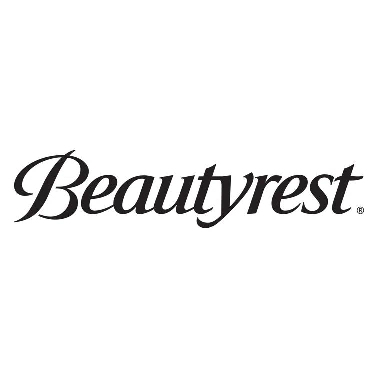Beautyrest Beautyrest Copper Lux Memory Foam Jumbo Medium Support Pillow (Set of 2)