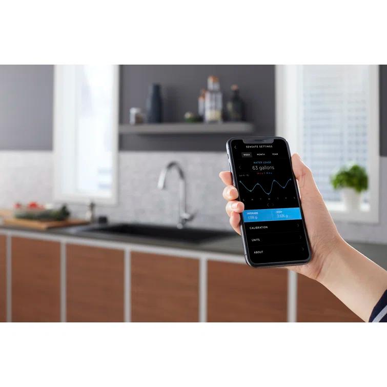 Tone™ Touchless Pull-Down Kitchen Sink Faucet with Voice Activation and Three-Function Sprayhead