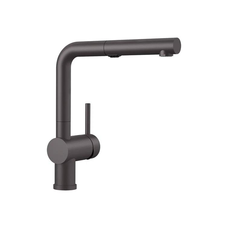 Linus Pull Out Dual Spray Kitchen Faucet
