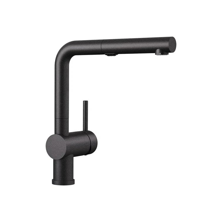 Linus Pull Out Dual Spray Kitchen Faucet