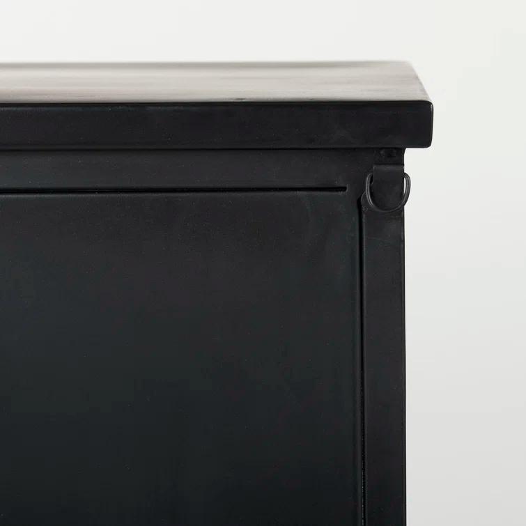 Diego 2 -Door Storage Cabinet