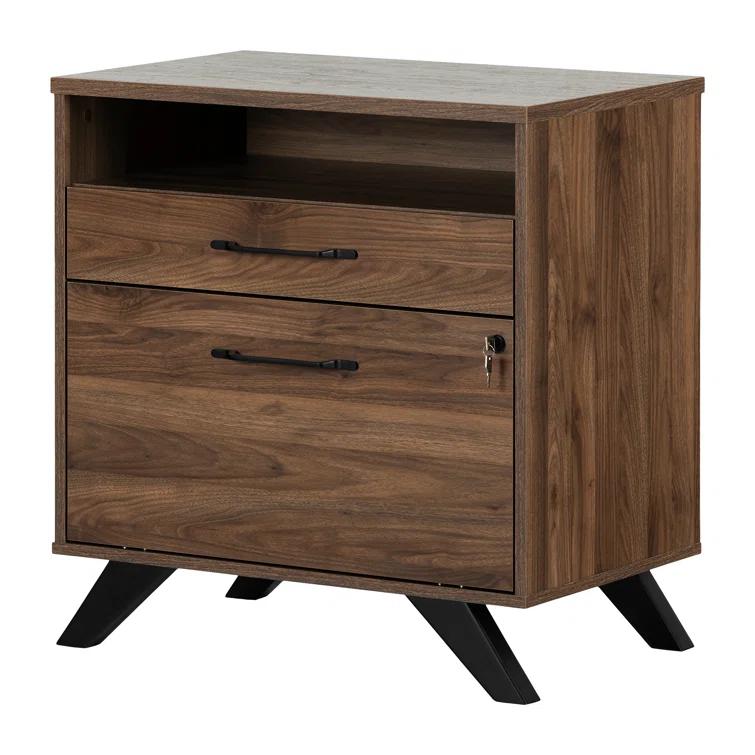 Boneita 29'' Wide 2 -Drawer File Cabinet