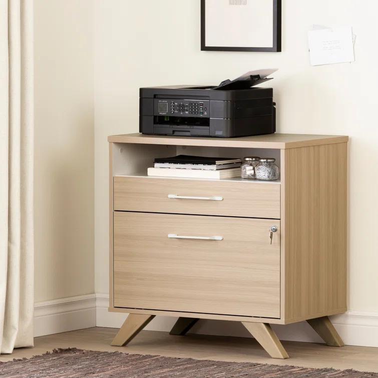 Boneita 29'' Wide 2 -Drawer File Cabinet