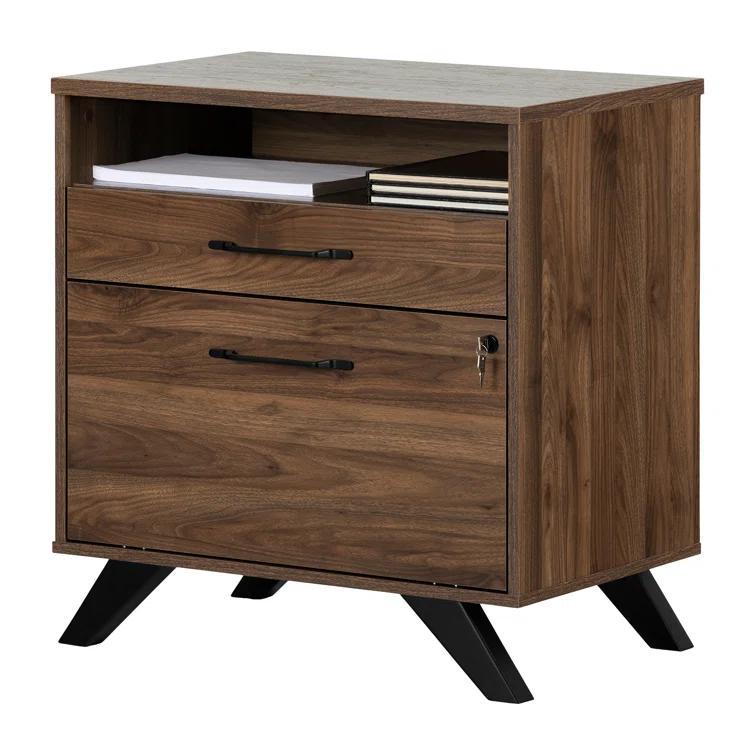 Boneita 29'' Wide 2 -Drawer File Cabinet
