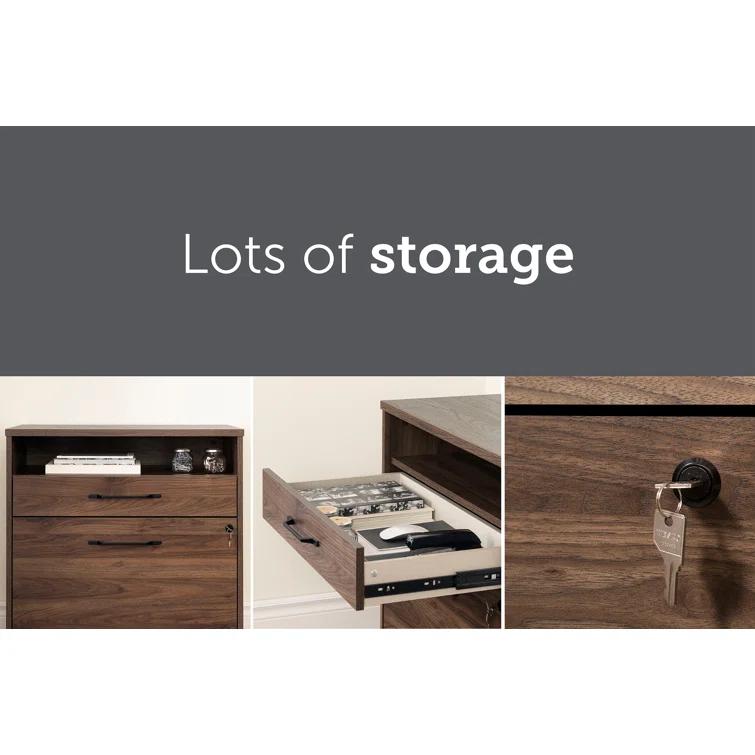 Boneita 29'' Wide 2 -Drawer File Cabinet