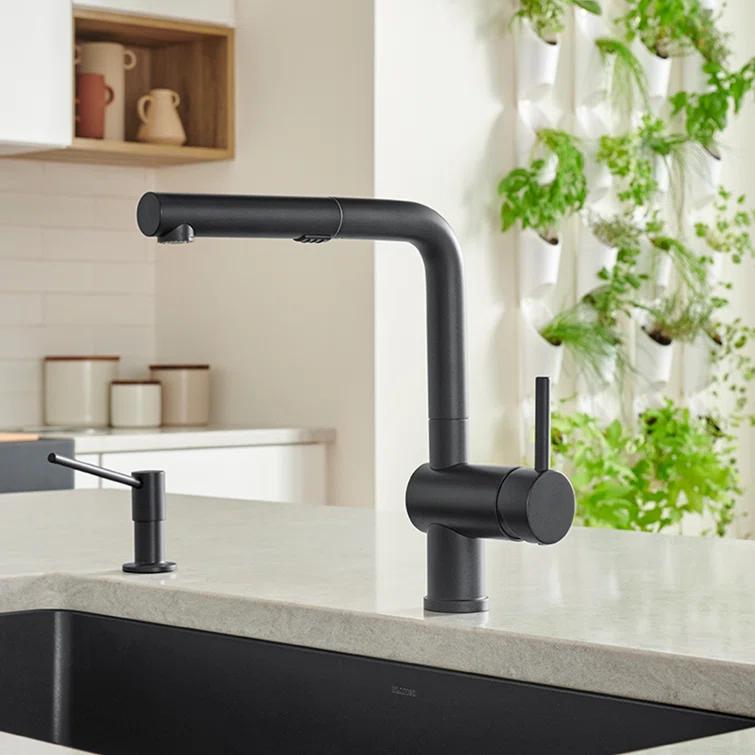 Linus Pull Out Dual Spray Kitchen Faucet