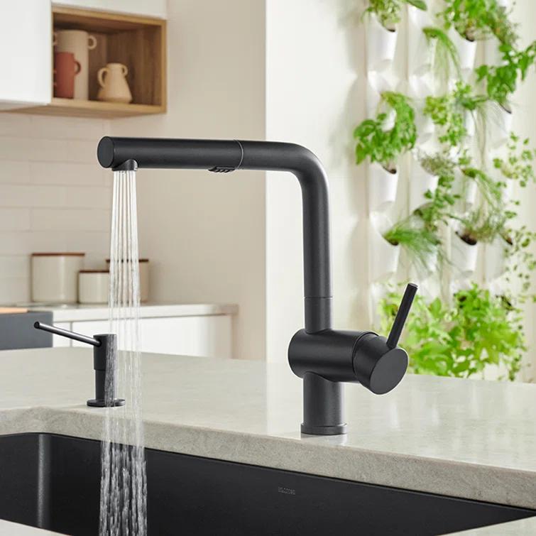 Linus Pull Out Dual Spray Kitchen Faucet