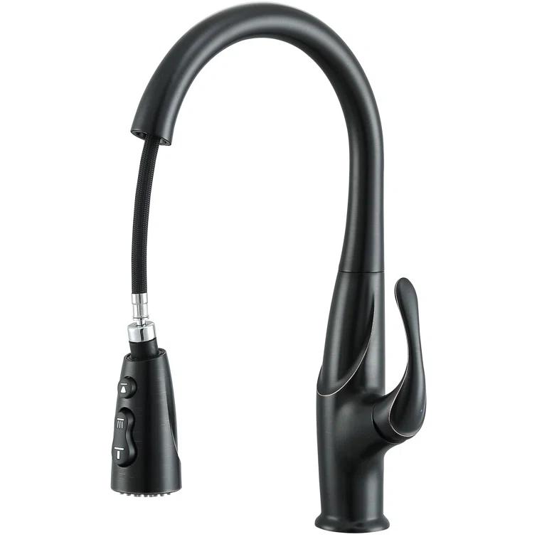 Ancona Eliya Pull Down Kitchen Faucet
