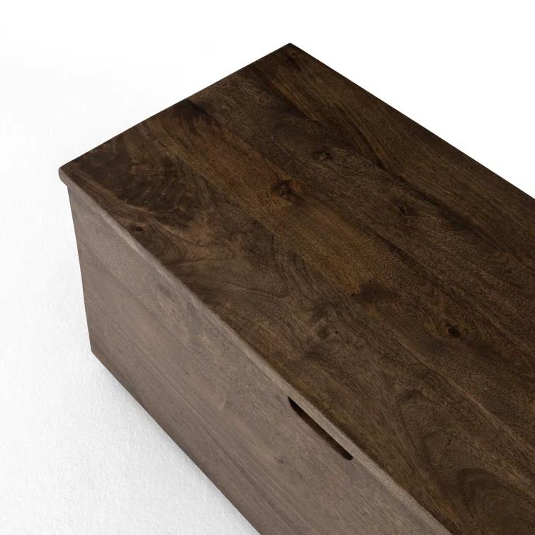 Flaire Accent Trunk