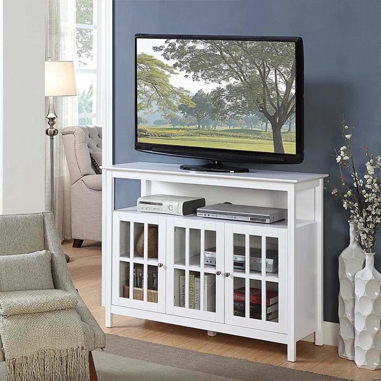 Bamard TV Stand with Storage Cabinets and Storage for TVs up to 55"