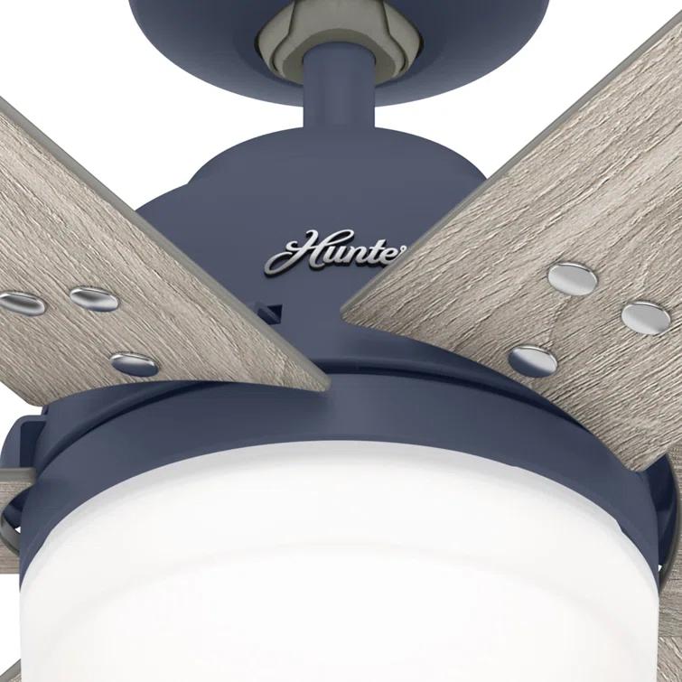 Hunter Fan 44" Pacer 6 - Blade Ceiling Fan with Lights and Remote
