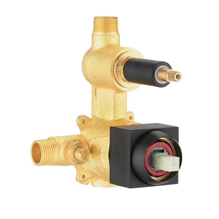 with Rough in-Valve