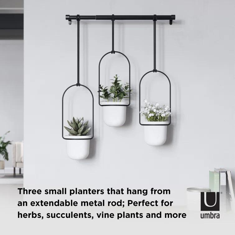 Tri-Flora Hanging Planter