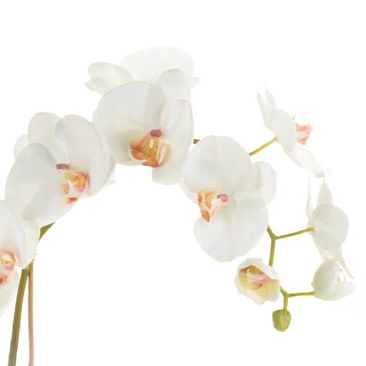 Plum & Post Phalaenopsis Orchid Faux (Fake) Drop-In 26"