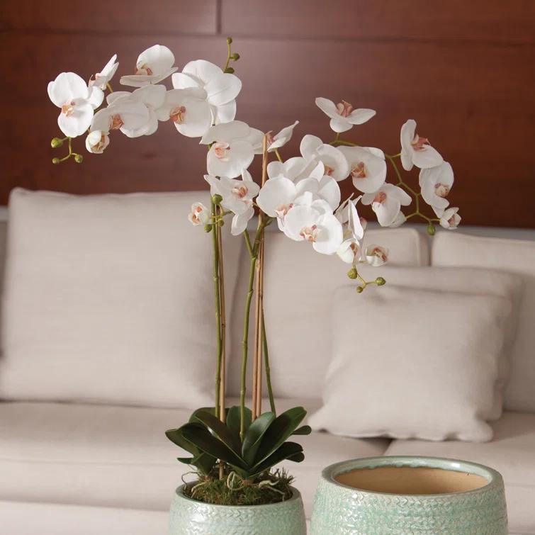 Plum & Post Phalaenopsis Orchid Faux (Fake) Drop-In 31"