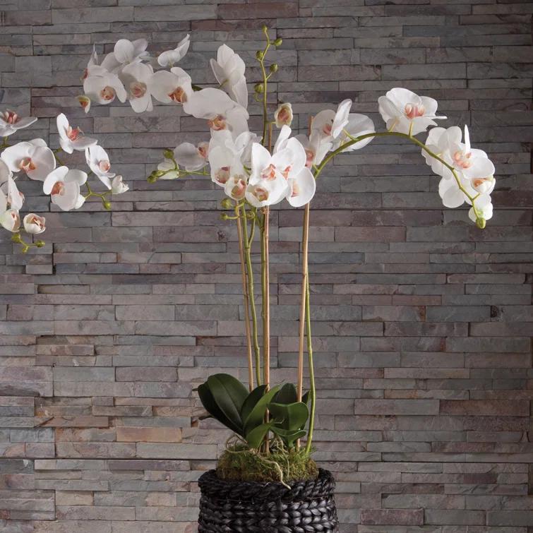 Plum & Post Phalaenopsis Orchid Faux (Fake) Drop-In 31"