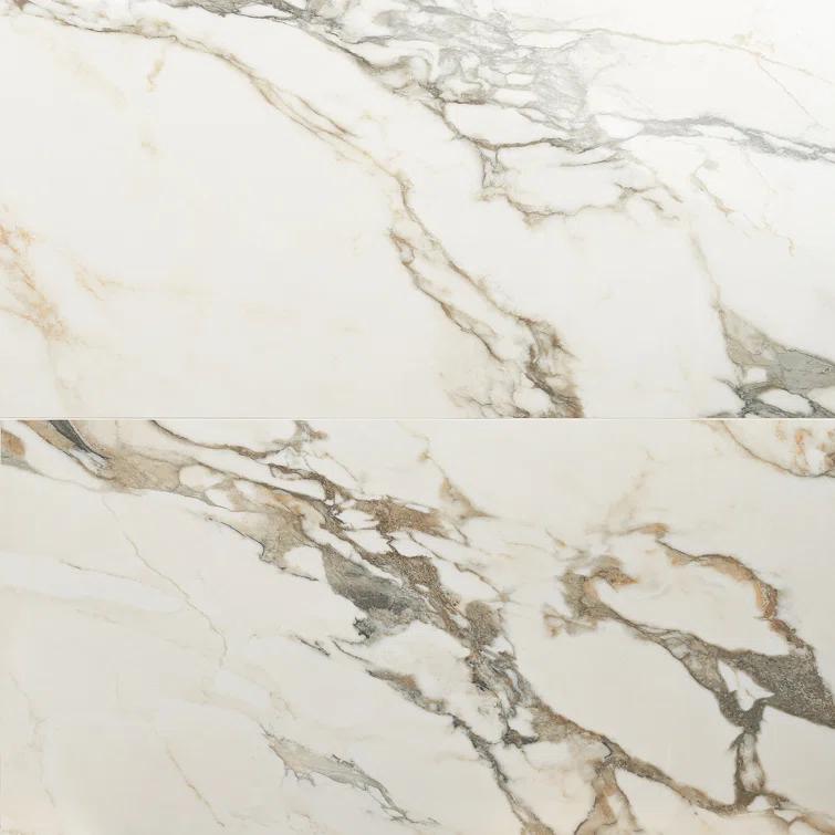 Saroshi 24" x 47" Polished Marble Look Porcelain Floor and Wall Tile (15.5 Sq. Ft. / Case)