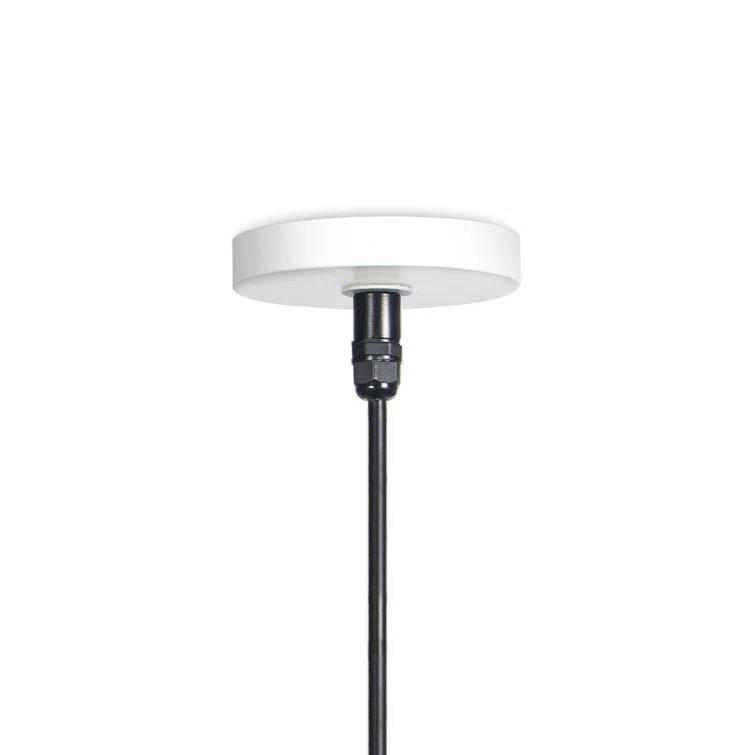 Peridot Outdoor Pendant Light by Regina Andrew - White / Large