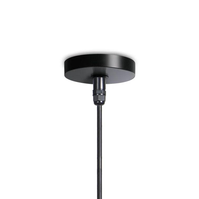 Peridot Outdoor Pendant Light by Regina Andrew - Black / Large