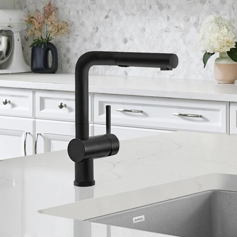 Linus Pull Out Dual Spray Kitchen Faucet