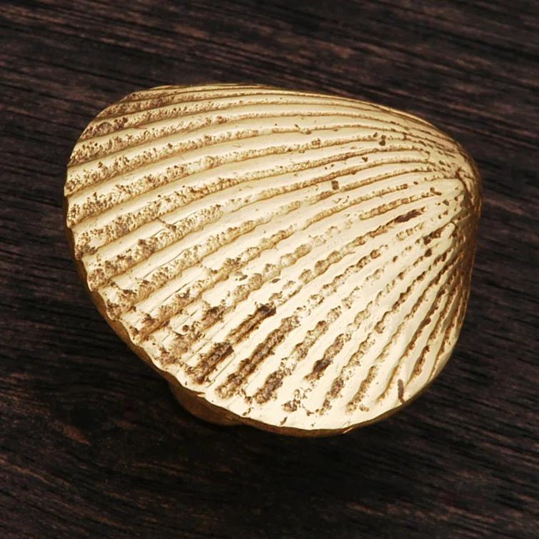 Polished Brass Shell Design Cabinet Knob with Mounting Hardware