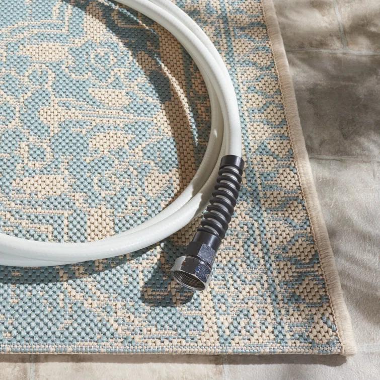 Danya Cream/Aqua Indoor/Outdoor Area Rug