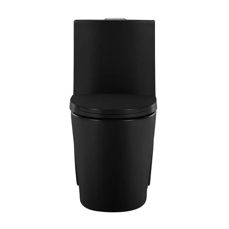 St. Tropez One Piece Elongated Toilet Dual Vortex Flush 1.6 GPF