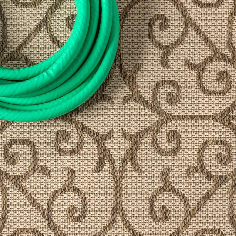 Haggerty Indoor / Outdoor Rug