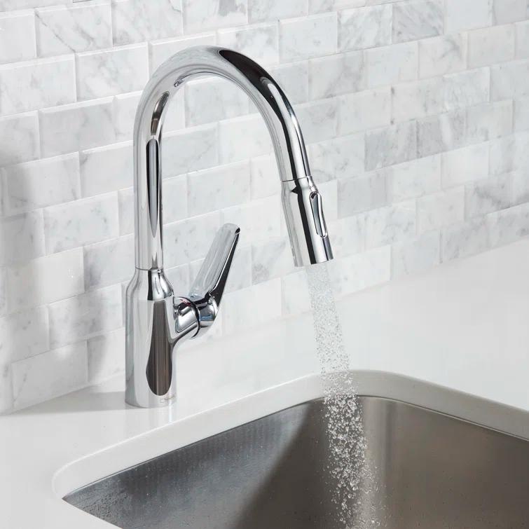 Focus N Prep Kitchen Faucet with 2-Spray Pull-Down, 1.75 GPM