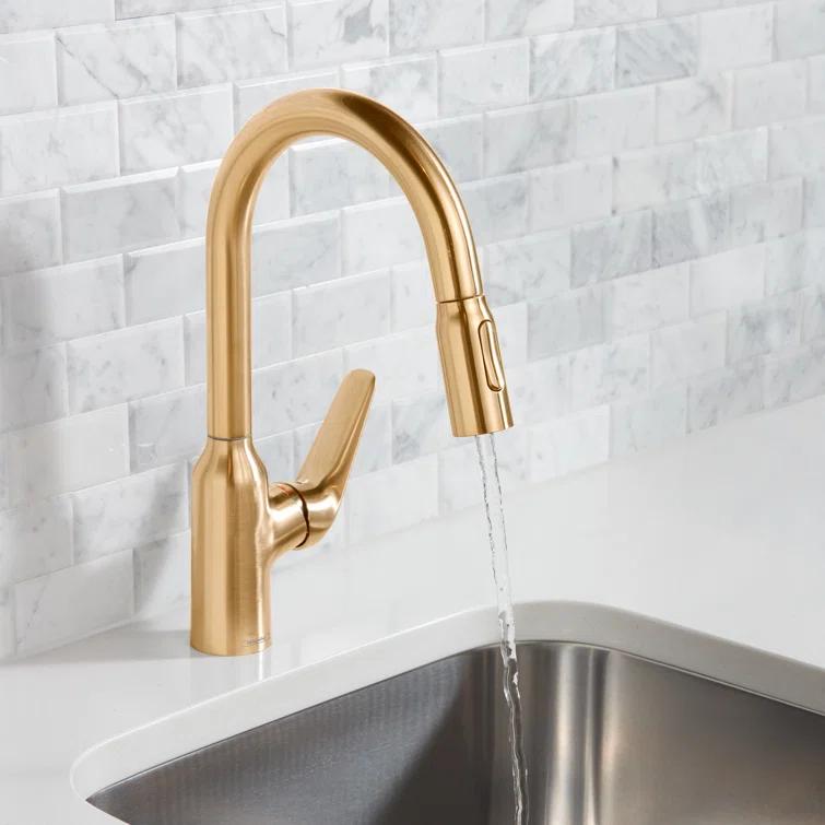 Focus N Prep Kitchen Faucet with 2-Spray Pull-Down, 1.75 GPM
